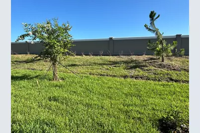 9333 Bonita Mar Drive, Parrish, FL 34219 - Photo 9