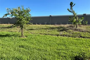 9333 Bonita Mar Dr, Parrish, FL 34219 - Photo 9