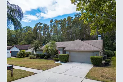 3238 Glenridge Drive, Palm Harbor, FL 34685 - Photo 49