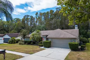 3238 Glenridge Dr, Palm Harbor, FL 34685 - Photo 49