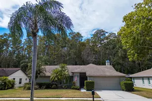 3238 Glenridge Dr, Palm Harbor, FL 34685 - Photo 3