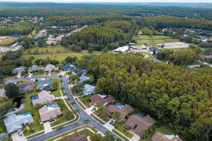 3238 Glenridge Dr, Palm Harbor, FL 34685 - Photo 59