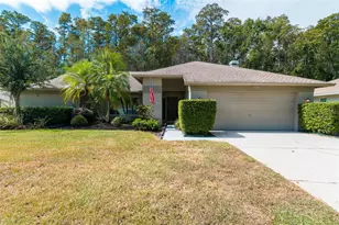 3238 Glenridge Dr, Palm Harbor, FL 34685 - Photo 1