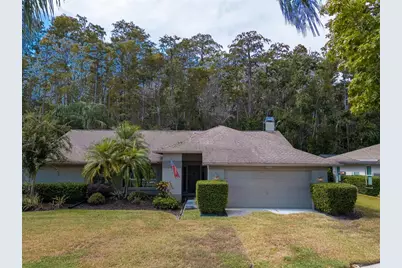 3238 Glenridge Drive, Palm Harbor, FL 34685 - Photo 51