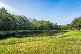 27004 Stillbrook Dr, Wesley Chapel, FL 33544 - Photo 25