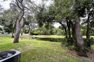 12772 Country Brook Ln, Tampa, FL 33625 - Photo 27