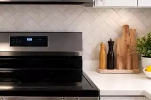 7338 Coquina Way, Saint Pete Beach, FL 33706 - Photo 11