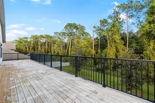 10826 Rain Lilly Pass, Land O Lakes, FL 34638 - Photo 45