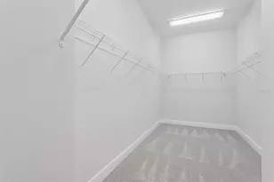 10739 Spring Sapling Circle, Parrish, FL 34219 - Photo 9