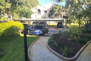 304 Los Prados, Safety Harbor, FL 34695 - Photo 71