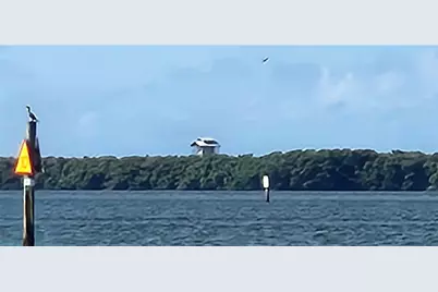 304 Los Prados #304, Safety Harbor, FL 34695 - Photo 89