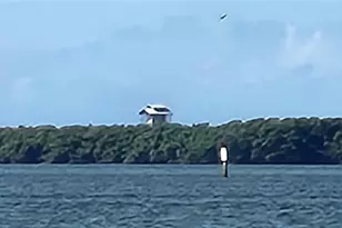 304 Los Prados, Safety Harbor, FL 34695 - Photo 89