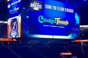 304 Los Prados, Safety Harbor, FL 34695 - Photo 79