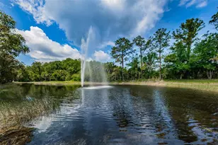 3351 Jadewood Cir, Tarpon Springs, FL 34688 - Photo 59