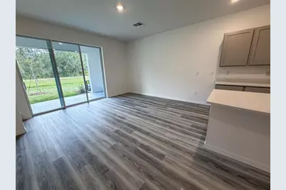 11372 Velvet Apricot Drive, Land O Lakes, FL 34638 - Photo 23