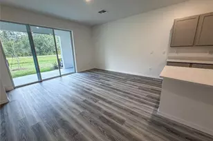 11372 Velvet Apricot Dr, Land O Lakes, FL 34638 - Photo 23