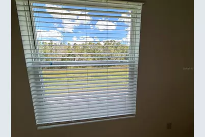 11372 Velvet Apricot Drive, Land O Lakes, FL 34638 - Photo 45