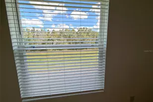 11372 Velvet Apricot Dr, Land O Lakes, FL 34638 - Photo 45