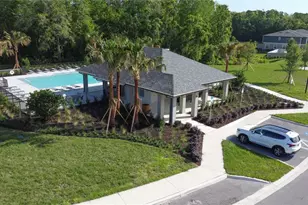 11372 Velvet Apricot Dr, Land O Lakes, FL 34638 - Photo 61