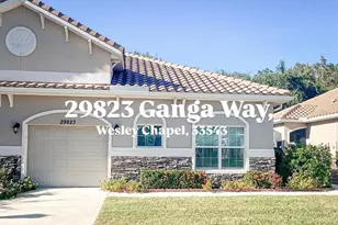 29823 Ganga Way, Wesley Chapel, FL 33543 - Photo 1