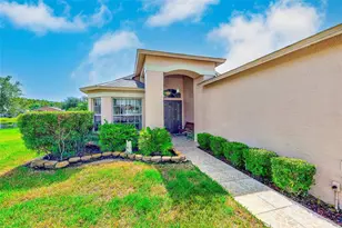 11600 Weaver Park Ct, Trinity, FL 34655 - Photo 23