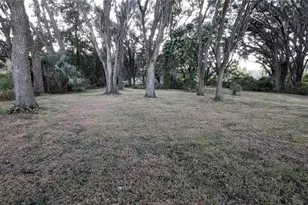 2024 E Keysville Rd, Lithia, FL 33547 - Photo 33