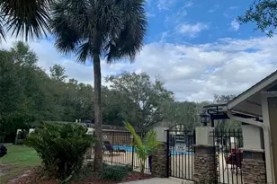 13287 Arbor Pointe Cir, Tampa, FL 33617 - Photo 25