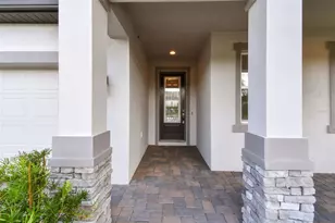 11009 Rosso Della St, Riverview, FL 33578 - Photo 5