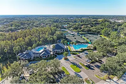 17823 Arbor Creek Drive, Tampa, FL 33647 - Photo 59