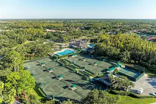 17823 Arbor Creek Dr, Tampa, FL 33647 - Photo 53