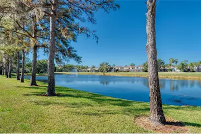 15624 Eastbourn Drive, Odessa, FL 33556 - Photo 9