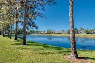 15624 Eastbourn Dr, Odessa, FL 33556 - Photo 9