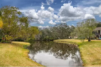 20 Sylvia Place, Oldsmar, FL 34677 - Photo 41