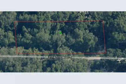 4053 E Grant Street, Inverness, FL 34453 - Photo 3