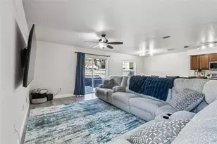 17347 Mint Leaf Ln, Land O Lakes, FL 34638 - Photo 7