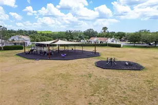 17347 Mint Leaf Ln, Land O Lakes, FL 34638 - Photo 57