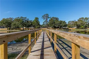 3815 N Oak Dr, Tampa, FL 33611 - Photo 19