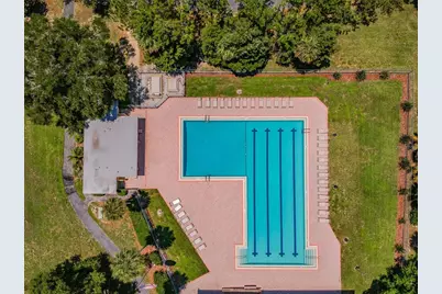 765 Sandy Hook Road, Palm Harbor, FL 34683 - Photo 59
