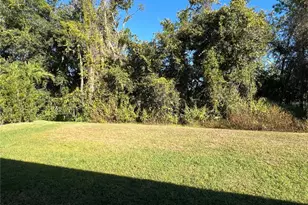 16318 Bridgelawn Ave, Lithia, FL 33547 - Photo 49