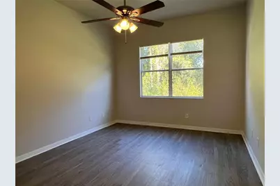 16318 Bridgelawn Avenue, Lithia, FL 33547 - Photo 25