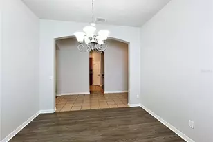 16318 Bridgelawn Ave, Lithia, FL 33547 - Photo 11