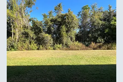 16318 Bridgelawn Avenue, Lithia, FL 33547 - Photo 51