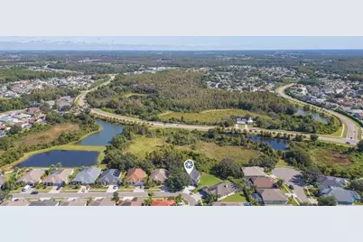 10022 Oxford Chapel Drive, Tampa, FL 33647 - Photo 57