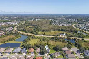 10022 Oxford Chapel Dr, Tampa, FL 33647 - Photo 57