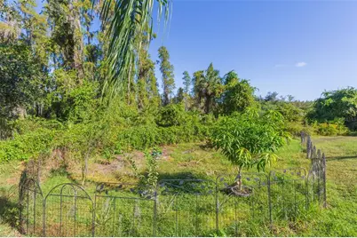 10022 Oxford Chapel Drive, Tampa, FL 33647 - Photo 53