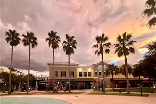 16113 Bridgecrossing Dr, Lithia, FL 33547 - Photo 21