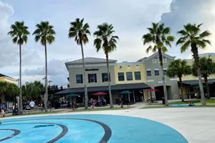 16113 Bridgecrossing Dr, Lithia, FL 33547 - Photo 23