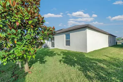 10262 Carloway Hills Drive, Wimauma, FL 33598 - Photo 17