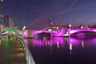 345 Bayshore Blvd, Tampa, FL 33606 - Photo 39