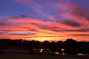 13301 Thoroughbred Dr, Dade City, FL 33525 - Photo 73